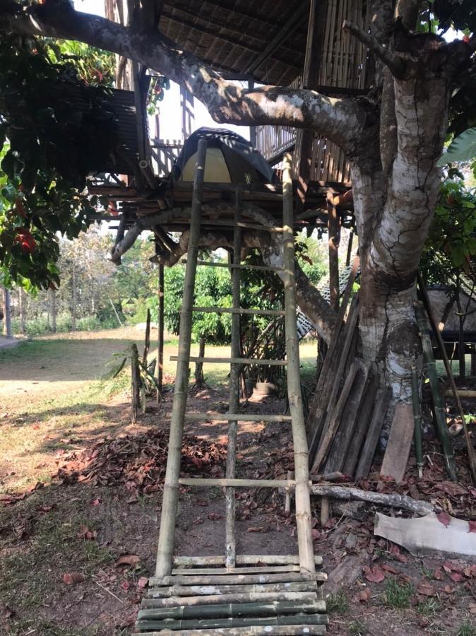 Amando_Tent 호텔 파야오 외부 사진