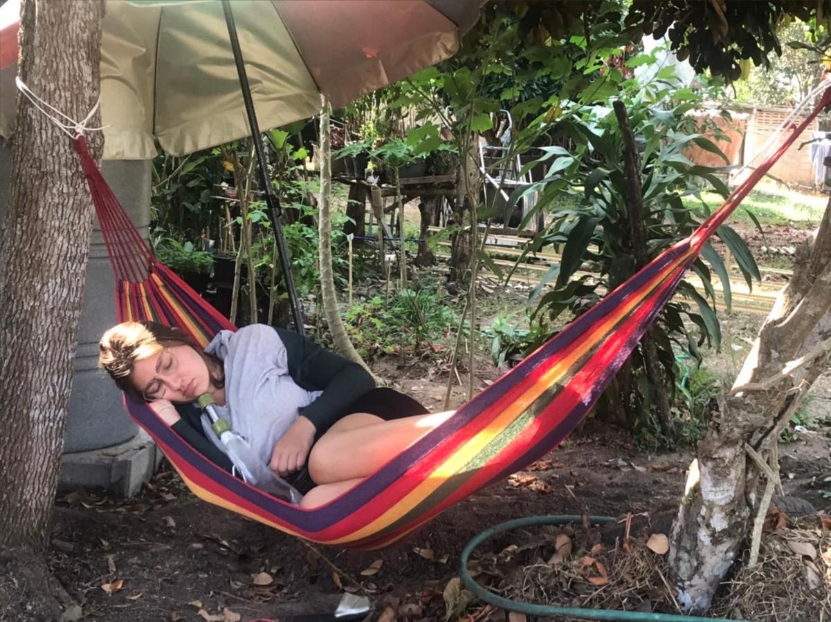 Amando_Tent 호텔 파야오 외부 사진